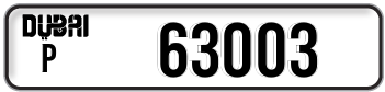 p63003