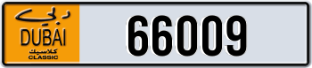 66009